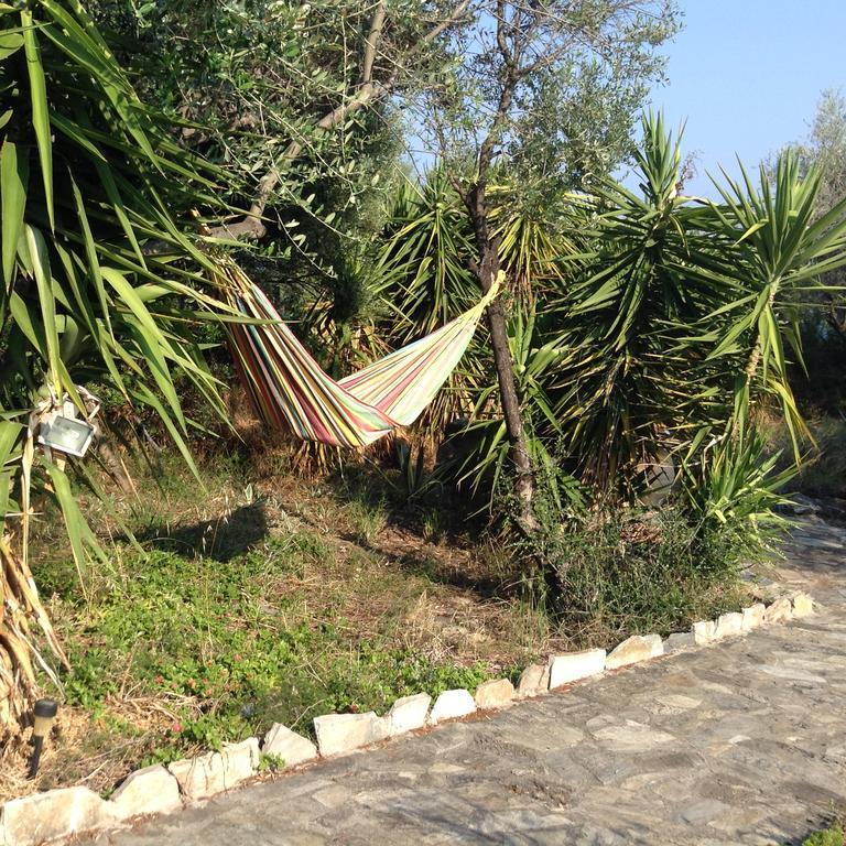 Georgia'S House Villa Marathos  Екстериор снимка